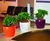 Cirkik Spirit Planters - modern fiberglass indoor plant pots 1