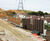 Planted acoustic barriers for relief road 2