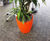 Cirkik Spirit Planters - modern fiberglass indoor plant pots 3
