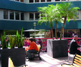 Geo Design - Cube lightweight fibreglass tree planters - on this page
