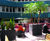 Geo Design - Cube lightweight fibreglass tree planters 0