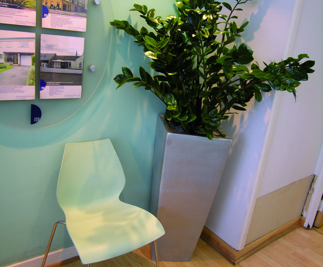 Ceramic Style - Cubis ultra-lightweight indoor planters