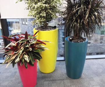 Cylik Spirit Planters - fluted fiberglass garden pots