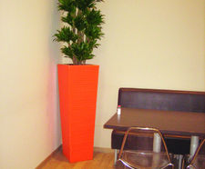 Ceramic Style - Julius Octavia indoor planters