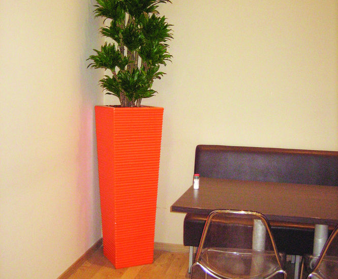 Ceramic Style - Julius Octavia indoor planters