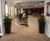 Spirit - Kubik lightweight interior planters 5