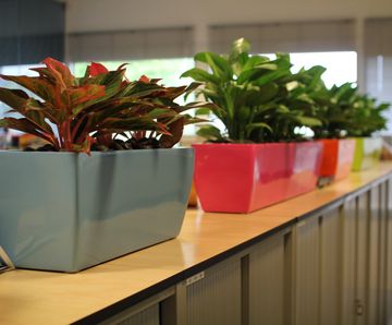 Spirit Linik Planter - lightweight fiberglass trough planter