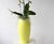 Milan Bowls - fiberglass indoor planter 1