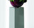 New York GRP pedestals for planters 2