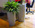 Quadik Plus Spirit Planters - lightweight fibreglass planter 7