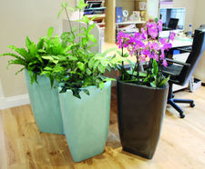 Spirit - Trifik ultra-lightweight interior planters
