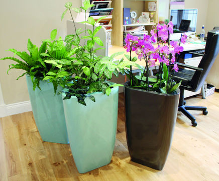 Spirit - Trifik ultra-lightweight interior planters
