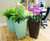 Spirit - Trifik ultra-lightweight interior planters 0