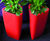 Spirit - Trifik ultra-lightweight interior planters 1