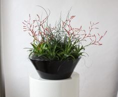 Berlin Bowls -  fiberglas interior bowl planters