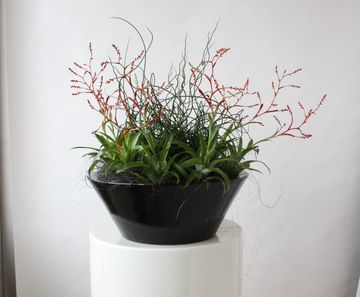 Berlin Bowls -  fiberglas interior bowl planters