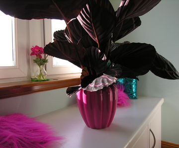 Deli Bowls - floral inspired fibreglass planter bowls