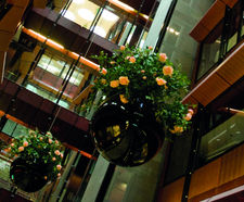 Havana Bowls - spherical fibreglass planter bowl