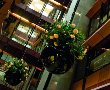 Havana Bowls - spherical fibreglass planter bowl