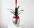 Lyon Bowls - contemporary fibreglass plant pots 2