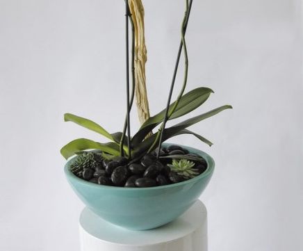 Paris Bowls - fibreglass planter bowl