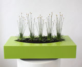Phoenix - decorative rectangular planter bowls - on this page
