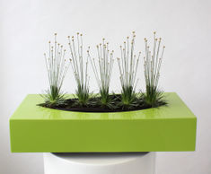 Phoenix - decorative rectangular planter bowls