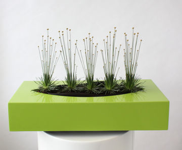 Phoenix - decorative rectangular planter bowls