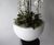Rome Bowls - fibreglass planter bowls 2