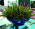 Sicily Bowls - contemporary decorative planter bowl 1