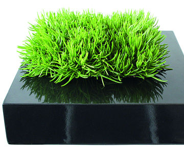 Vegas Bowls - decorative square planter bowl