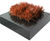 Vegas Bowls - decorative square planter bowl 2