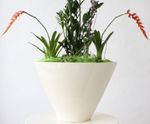 Vienna Bowls - conical decorative planter bowl