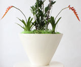 Vienna Bowls - conical decorative planter bowl - on this page