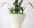 Vienna Bowls - conical decorative planter bowl 0