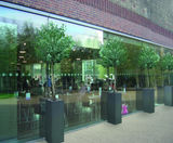 Tower Geo Design - geometric fibreglass planter - on this page