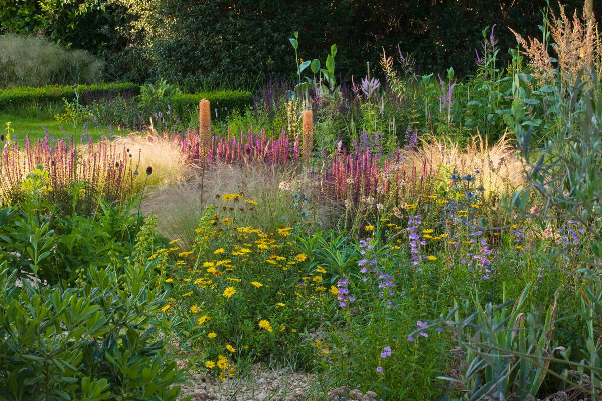 Images for Corten steel finish planters for award-winning garden