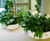Bespoke curved, freestanding interior planters - Paris 1