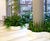 Bespoke curved, freestanding interior planters - Paris 2