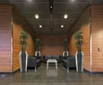 Night and Day Avant-Garde Planter - geometric fibreglass pot planters