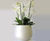 Barcelona ultra-lightweight interior bowl planter 1