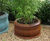 Garden Classics - Bell lightweight GRP tree planters 1