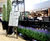 Kubik planters and artificial plants - Edinburgh Airport 1