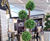 Kubik planters and artificial plants - Edinburgh Airport 3