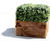Bespoke buxus hedge boxes for external seating area 3