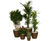 Cirkik Spirit Planters - modern fiberglass indoor plant pots 7