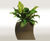 Curvy Jayne - contemporary ultra-lightweight curved planters 3