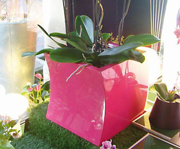 Curvy Jayne - contemporary ultra-lightweight curved planters