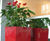 Spirit - Kubik lightweight interior planters 6