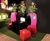 Curvy - Marilyn contemporary, ultra-lightweight planters 5